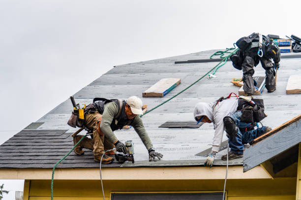 Professional Storm Damage Roof Repair technician working in Branchville, NJ